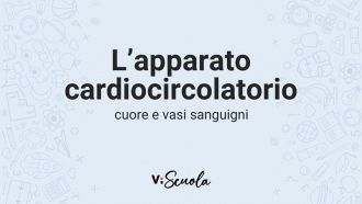 apparato-cardiocircolatorio-cuore-vasi-sanguigni