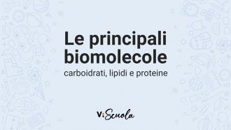biomolecole-carboidrati-lipidi-proteine