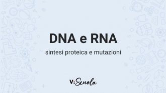 dna-rna-sintesi-proteica