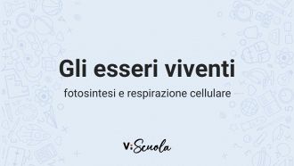 esseri-viventi-fotosintesi-respirazione-cellulare