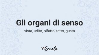 gli-organi-di-senso