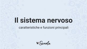 il-sistema-nervoso
