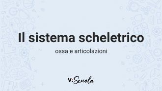 sistema-scheletrico-ossa-articolazioni