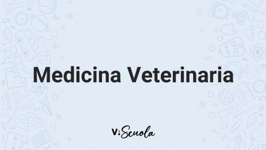 medicina-veterinaria