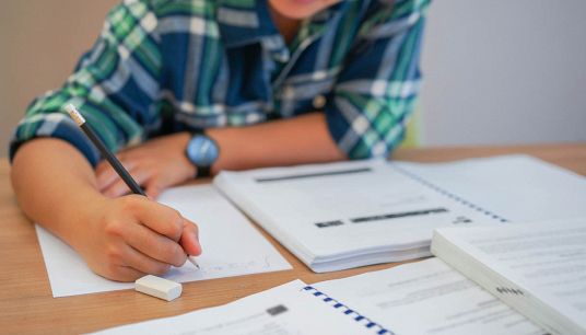 Ragazzo che studia