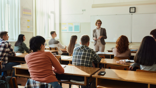 docente facilitatore