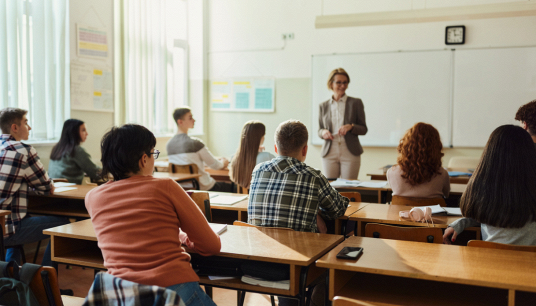 docente facilitatore