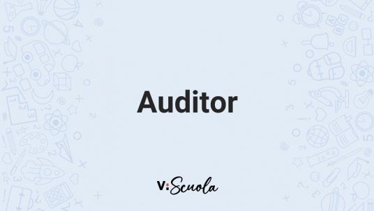 auditor