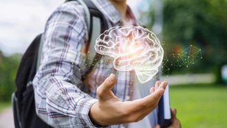 Cervello degli adolescenti: la scoperta