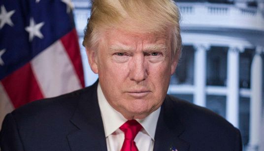 Il Presidente Donald Trump