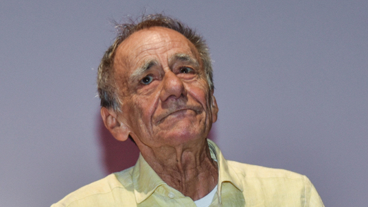 Vecchioni
