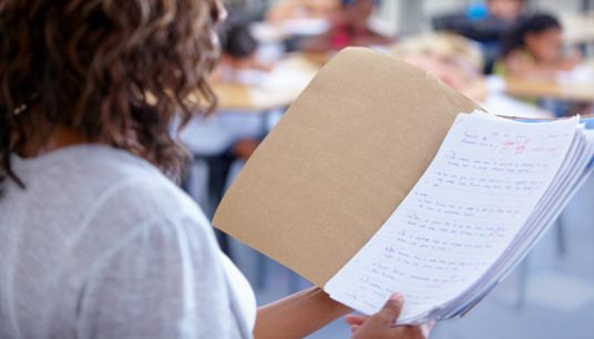 Pagelle di fine anno, il video del comico ex prof Caccamo