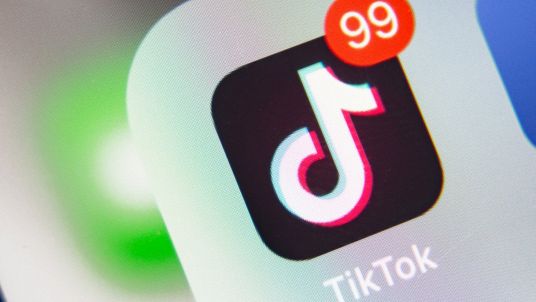 Genitori contro TikTok: contetnuti nocivi. Lo studio