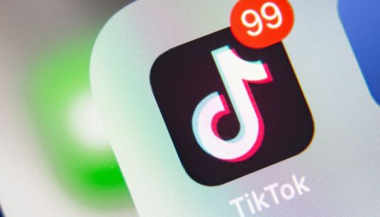 Genitori contro TikTok: contetnuti nocivi. Lo studio