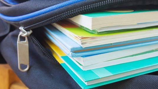 Scuola, l'allarme del Codacons su prezzi dei libri e su studenti