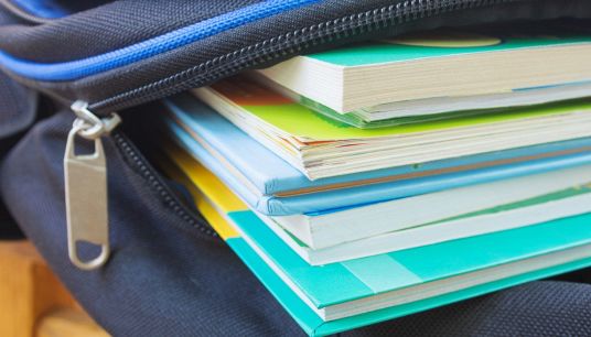 Scuola, l'allarme del Codacons su prezzi dei libri e su studenti