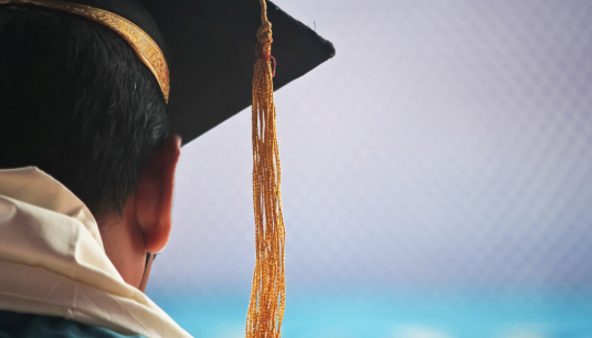 lauree honoris causa