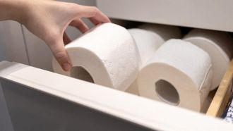 Basta carta igienica a scuola, caso a Rovigo