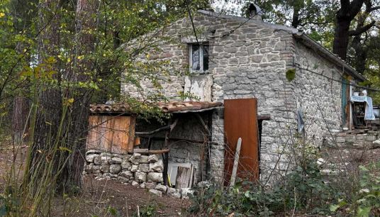 Novara e la famiglia nel bosco: “I figli non sono una proprietà"