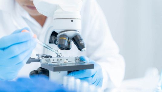 Scienziati al lavoro