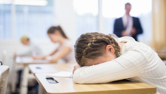 "Effetto opossum" sempre più frequente tra gli studenti: cos'è