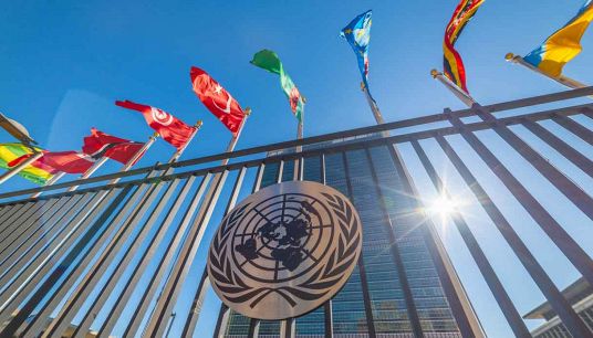 Università delle Nazioni Unite