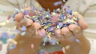 Carnevale 2026, quando chiudono le scuole: le date