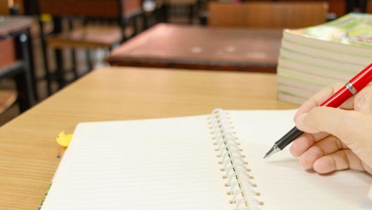 Registro elettronico, il consiglio di Novara agli insegnanti