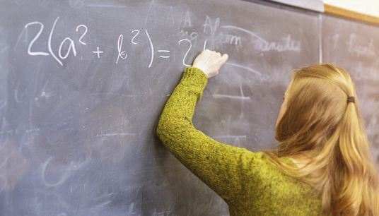 Studentessa del Liceo matematico