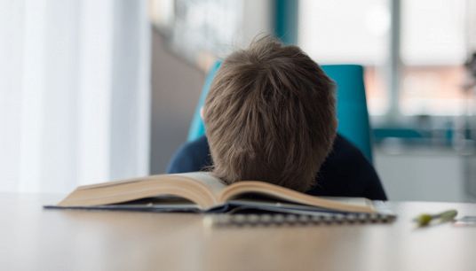 "Per nostro figlio studiare è inutile", cosa fare secondo Novara