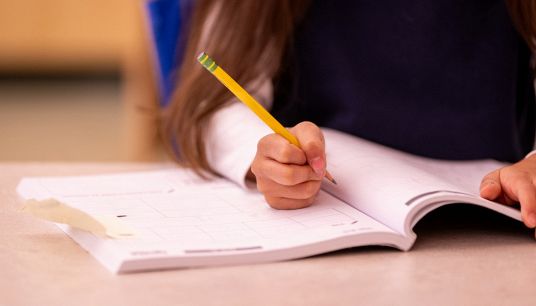Il libro delle vacanze diventa un caso: cosa è successo