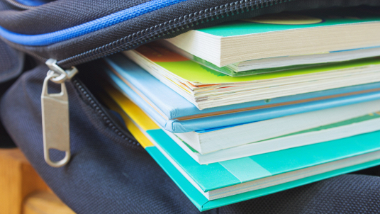 libri scolastici
