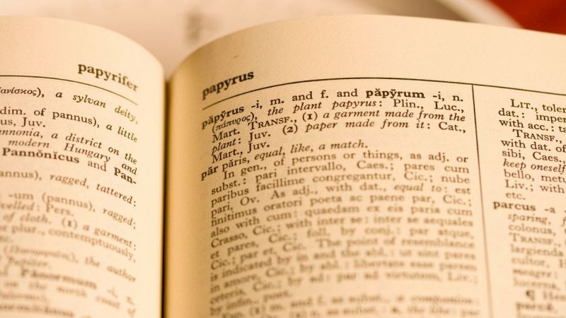 Le versioni di latino servono davvero nella vita?