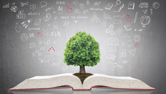 L'educazione civica insegna davvero qualcosa agli studenti?
