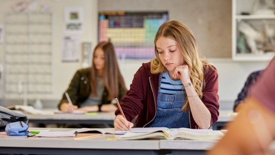 Novara avverte: "Così la scuola fallisce, facciamoli lavorare”
