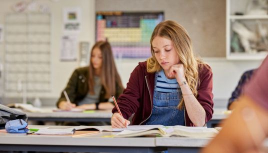 Novara avverte: "Così la scuola fallisce, facciamoli lavorare”