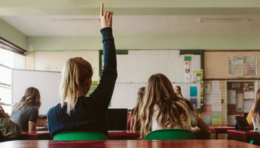 alunna alza la mano in classe