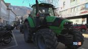 Protesta dei trattori in Italia e in Europa