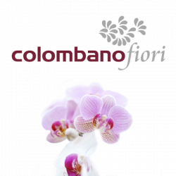 Colombano Fiori logo