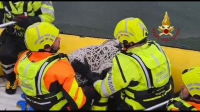 Un lupo finisce nel Naviglio nel Milanese, salvato