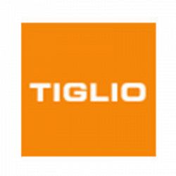 Tiglio Shoes 2000 logo
