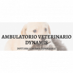 Ambulatorio Veterinario Dynamis della Dott.ssa Adriana Dipasquale