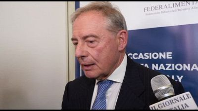Dazi, ministro Urso: rispondere con altri dazi aumenterebbe il danno