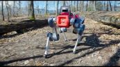I robot zoomorfi guardiani delle foreste per tutelarne la salute