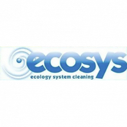 Ecosys logo