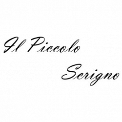 Il Piccolo Scrigno logo