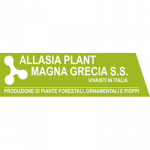 Allasia Plant Magna Grecia S.S.