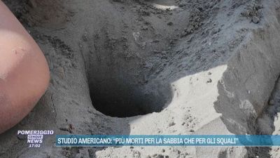 Studio americano: "Più morti per la sabbia che per gli squali"