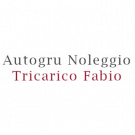 Autogru Noleggio Tricarico Fabio