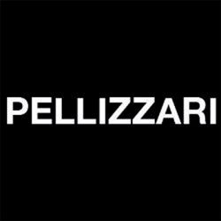 Pellizzari Negozi Moda logo